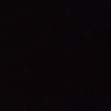 LULU24의 에픽쿠키들이랑동거