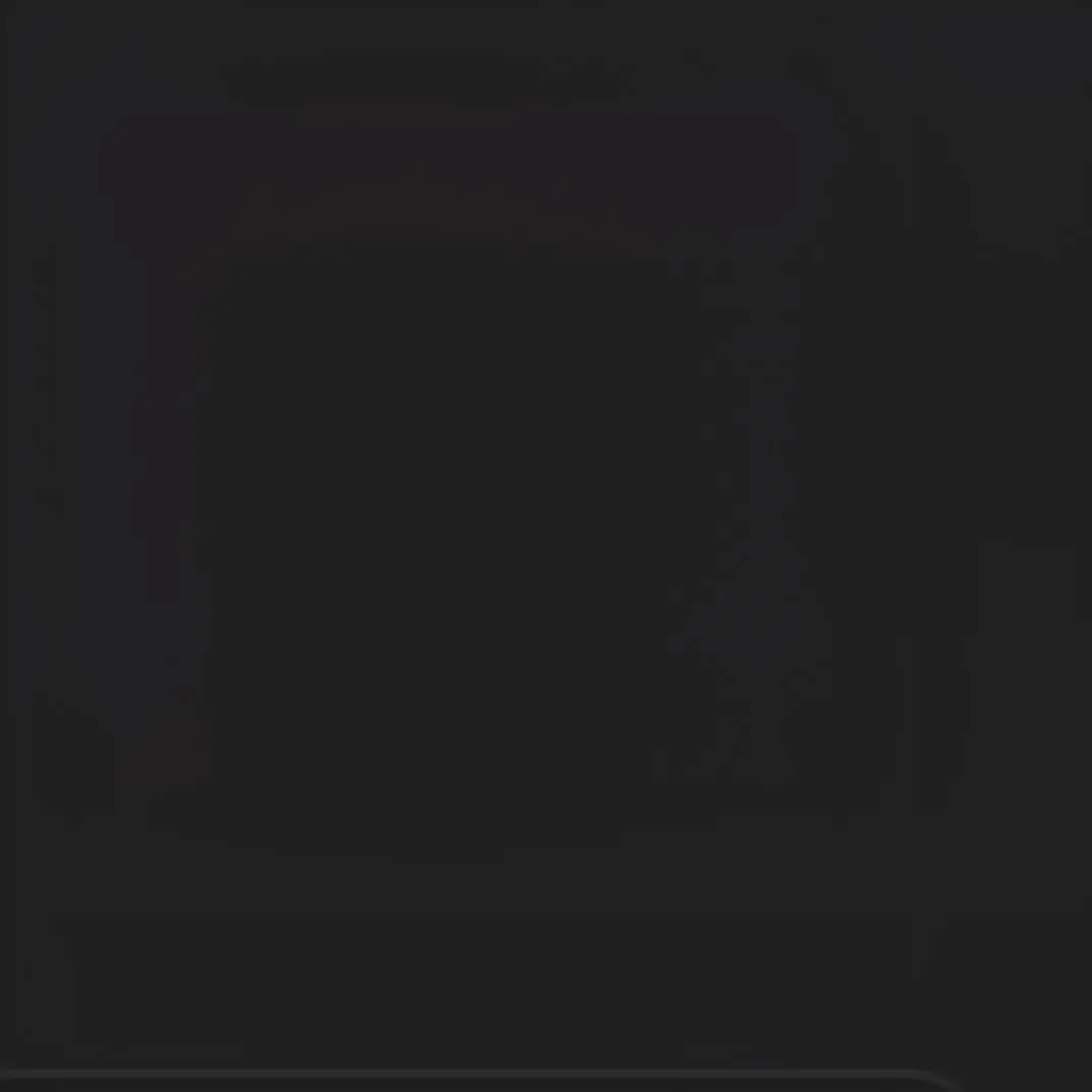 RudeStove2036의 보넥도(가족)