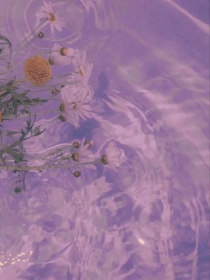 _xy0_3의 fwˊ˗🥂✨