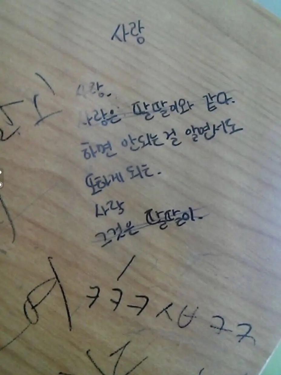 S.TILLLOVEU의 양홍원