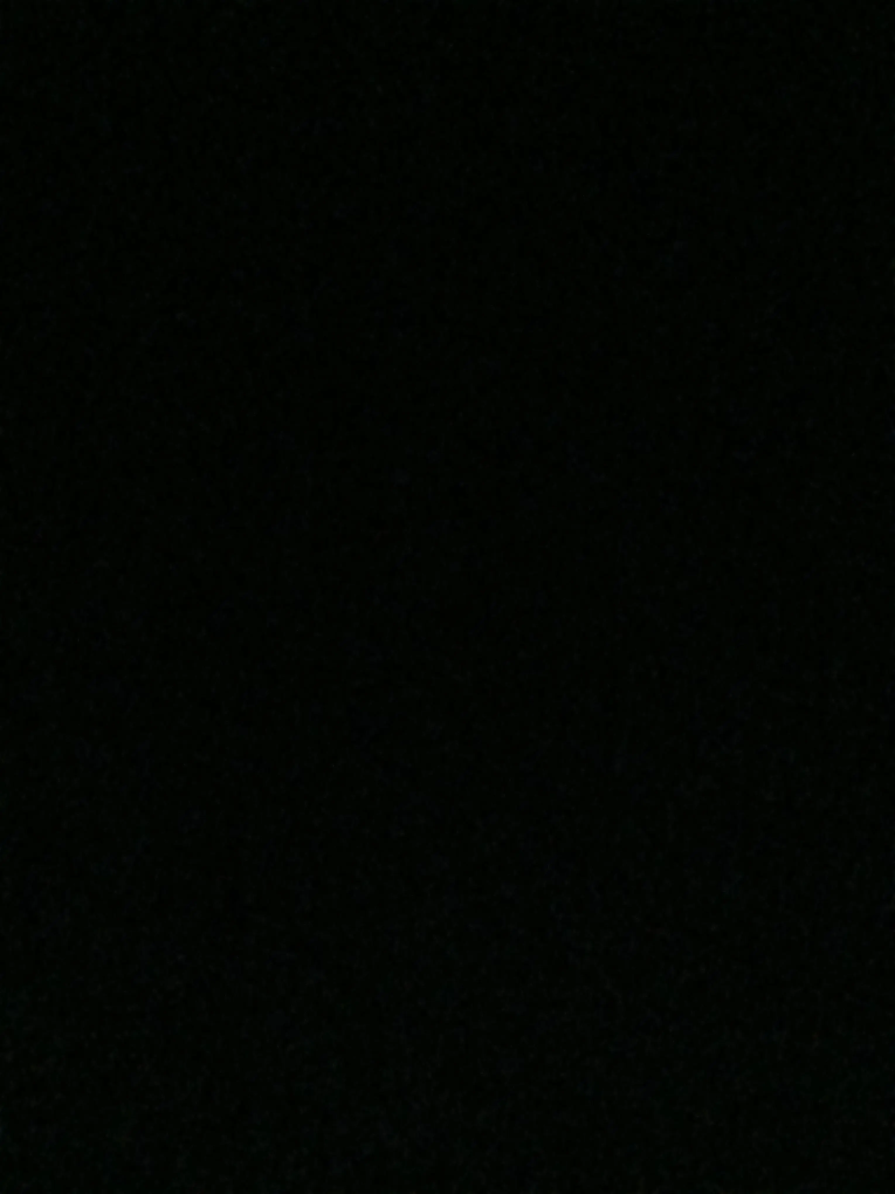 BrutePie9463의 리레볼루션 (류)