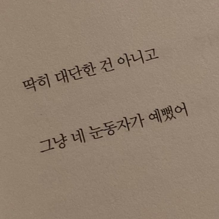 차두리 대표 이미지