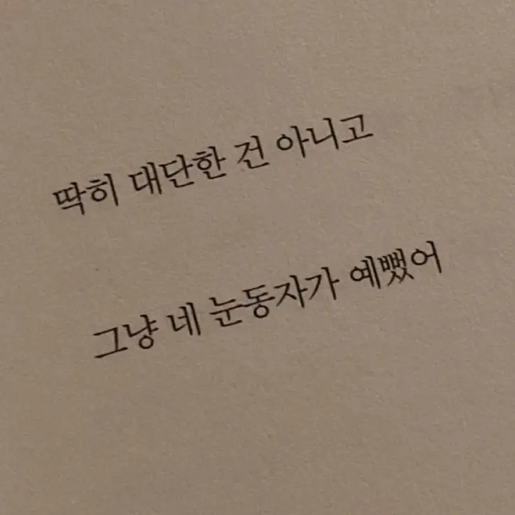 Namuamitabul_의 차두리