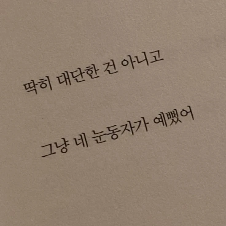 차두리