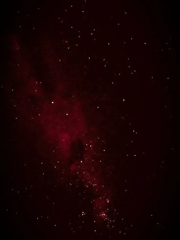 VocalSheep3555의 싸이코드+뱀파이어+합숙