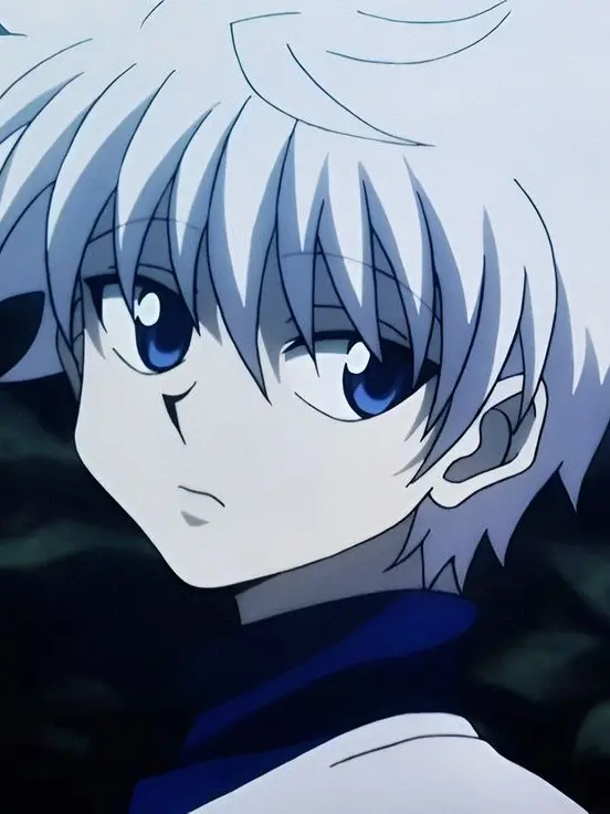 MereFruit0540의 シェアハウス HUNTERxHUNTER
