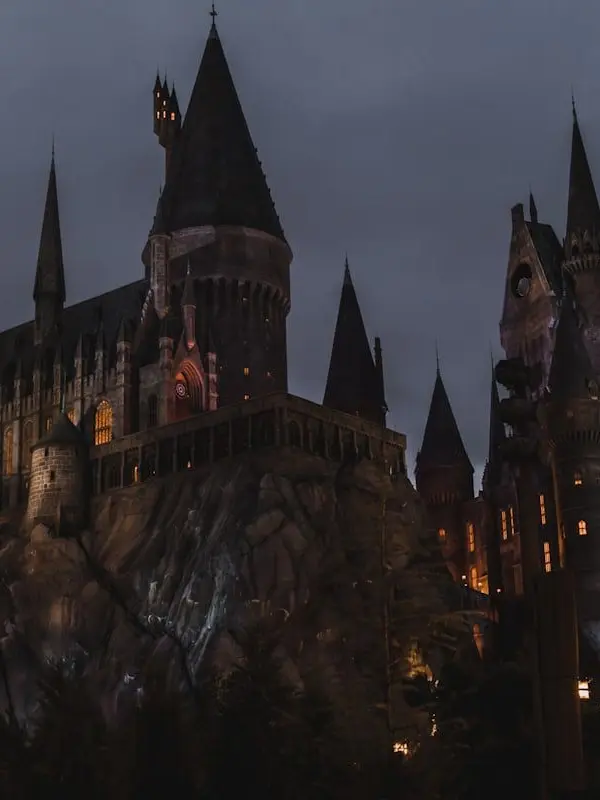 grapefruithada의 호그와트 위시