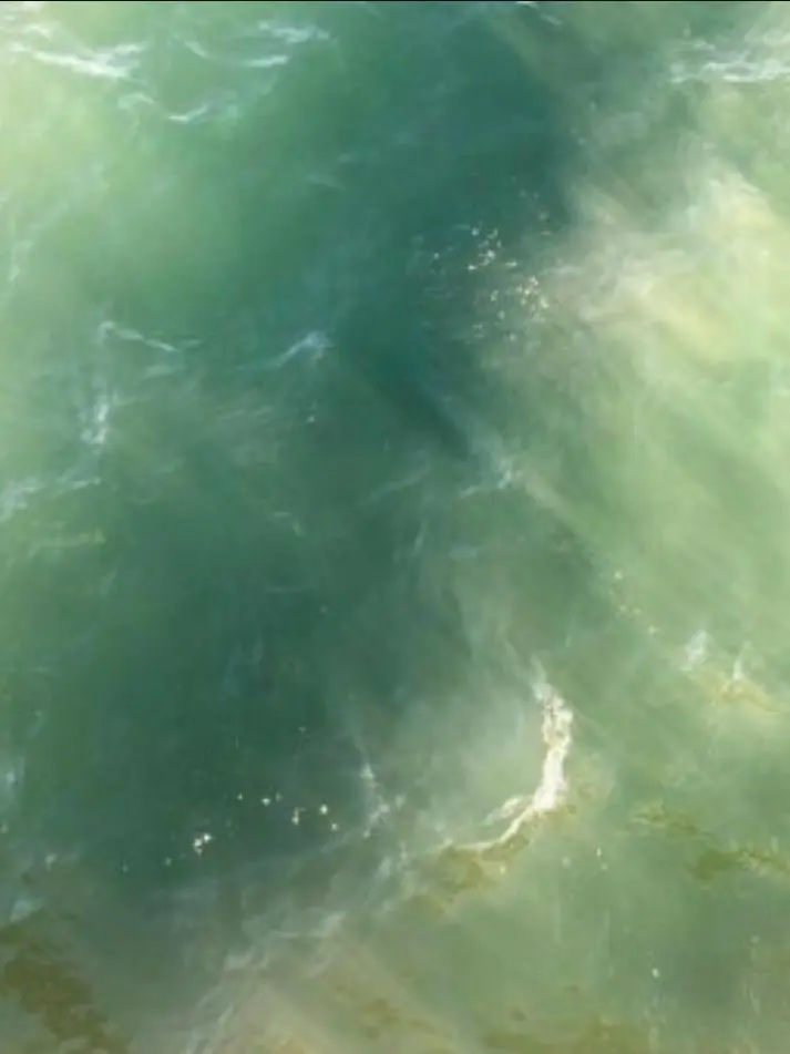 Lilyyyyyyyy의 『92년도 최강의 콤비』