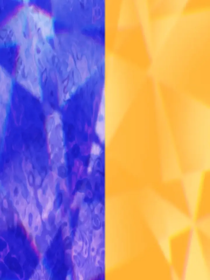 Riii의 주군, 제발 좀!