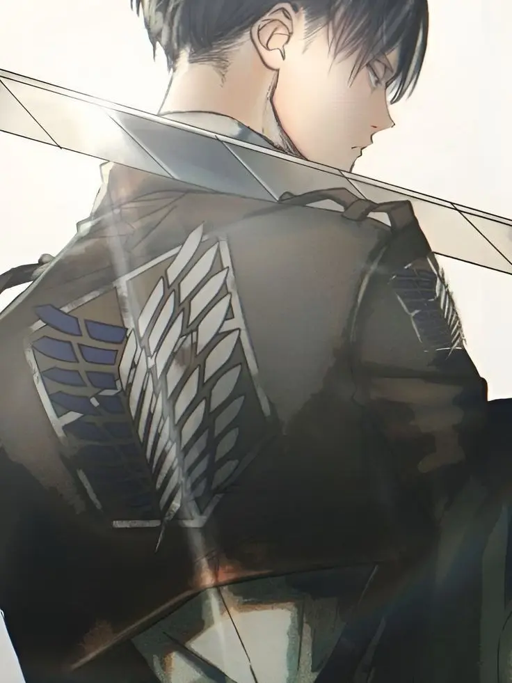 ZestyCrest5552의 Levi Ackerman