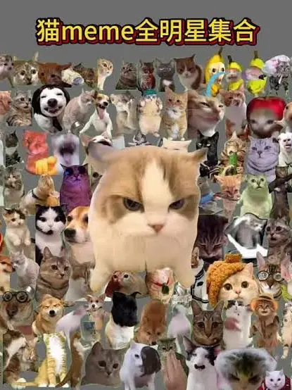 Izayoisakuyakawaisugi의 猫ミームカオスバトル