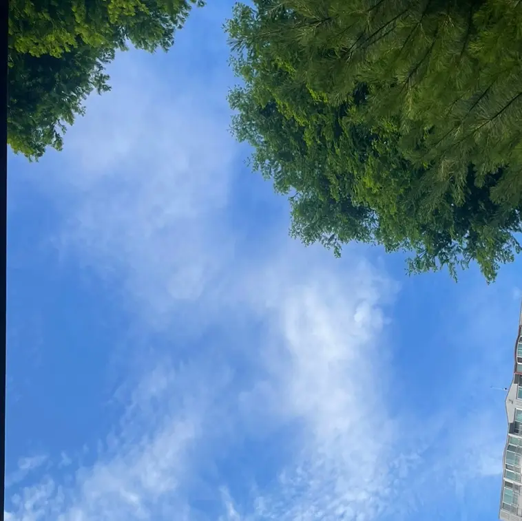 Cloud0613의 [03] 내게 무관심한 친오빠들.