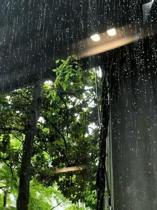 FestalTank4262의 雨  と 君 と ﾊﾟﾛ