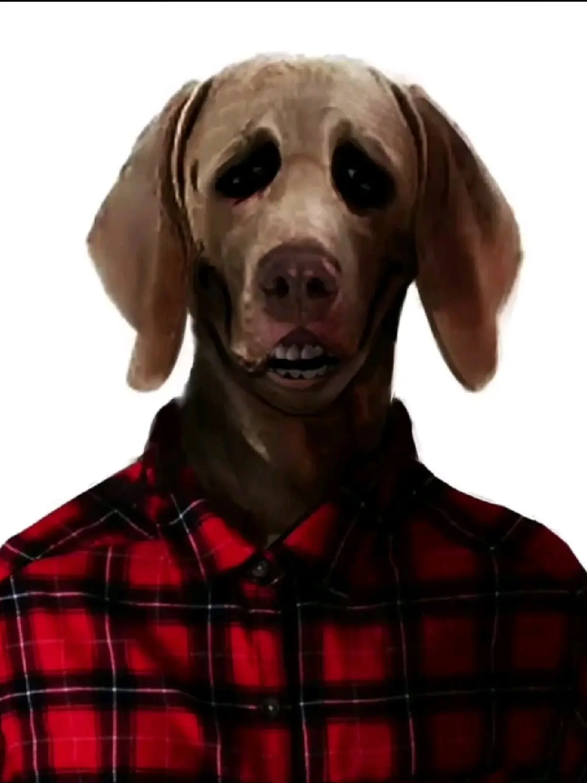 EVRYTHIGSURE의 세상에 나쁜 개는 없다