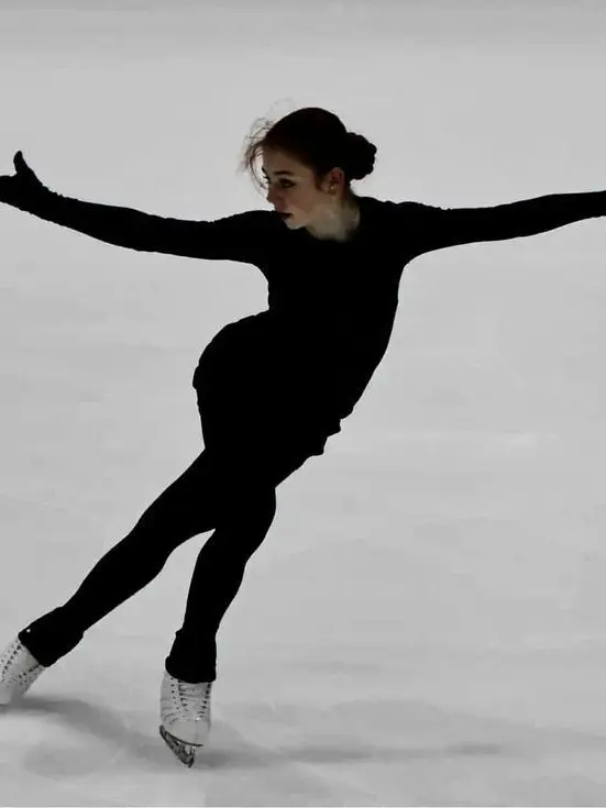 HumbleDebit0394의 Ice skating with pro heros