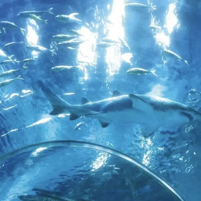 FunkyHouse6147의 개인용