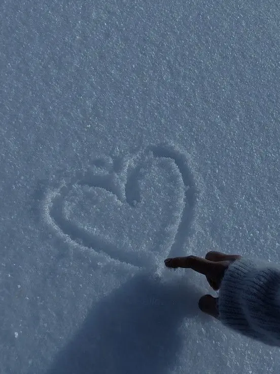 vofje_08kd.ltm의 패러다이스