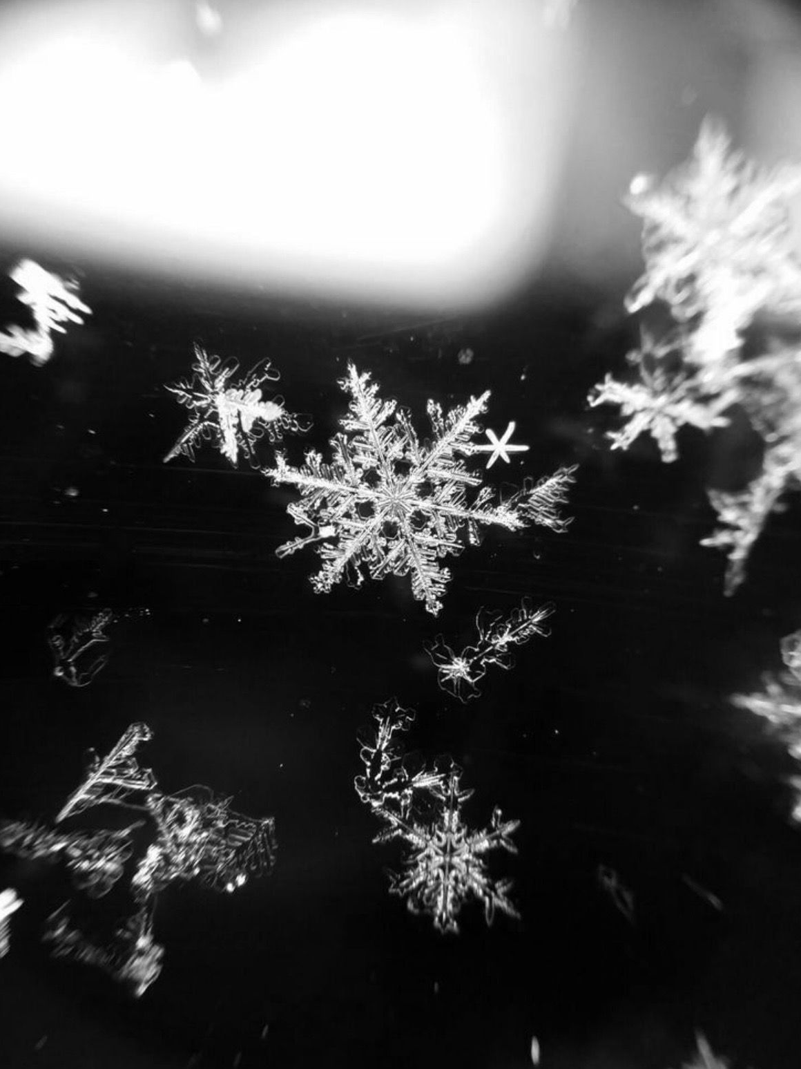 Watashi 대표 이미지