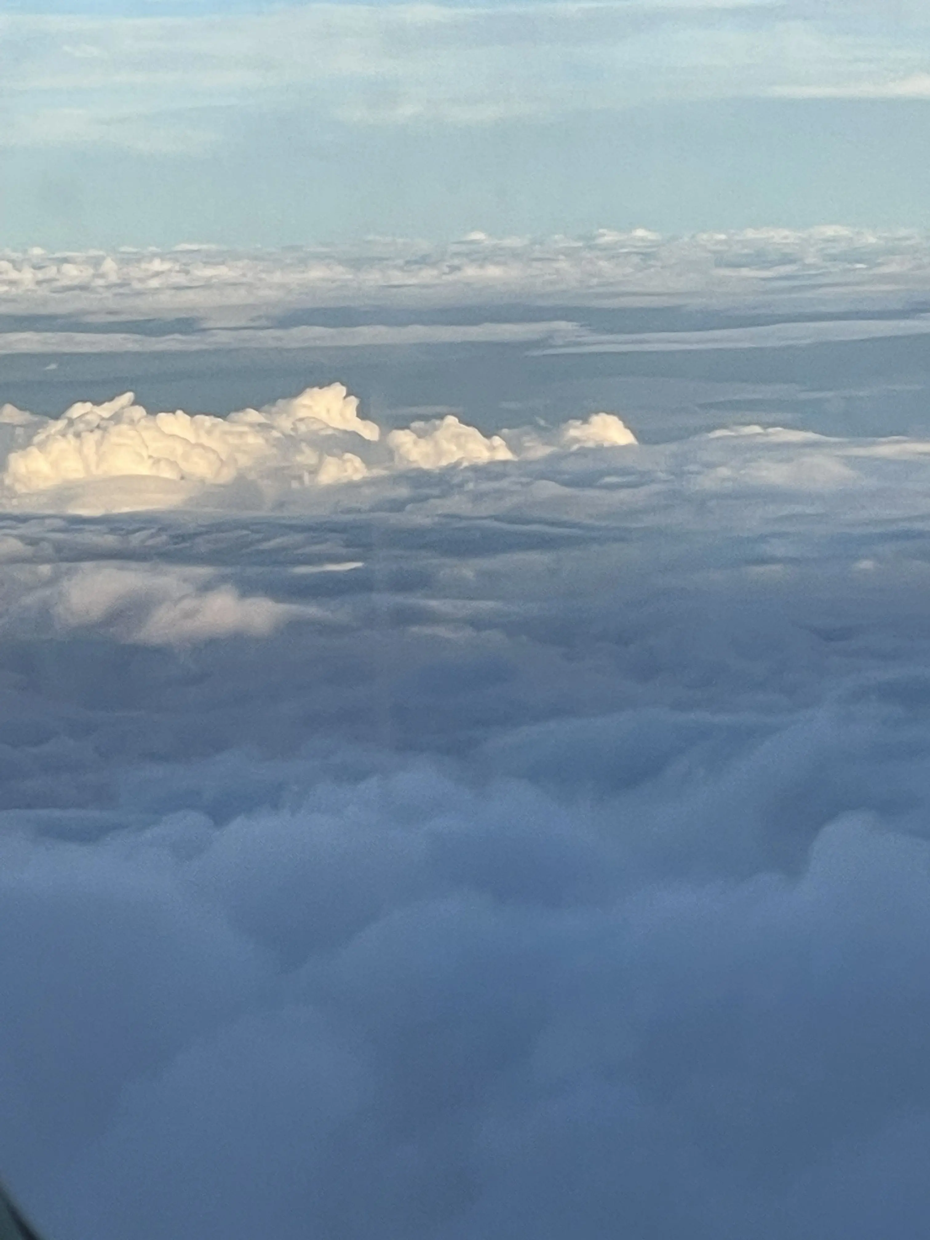 omijasnowman의 귀멸 아이돌