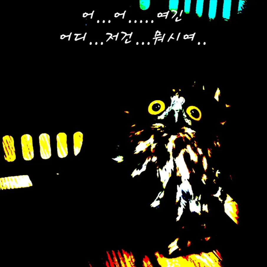 AgedChunk0284의 그저 미(땡)들의 일상...?