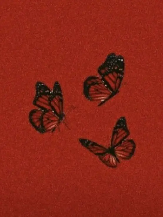 KingBK의 부적응의 동물