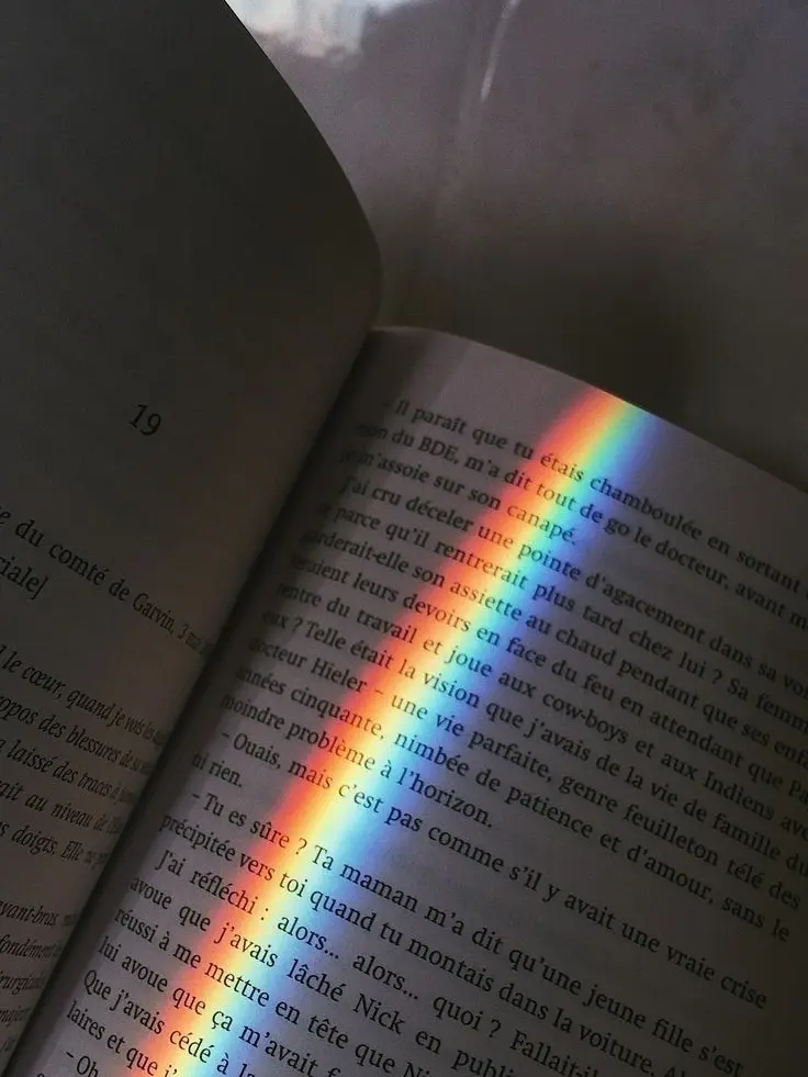 103889OqSA의 픽셀리의 수학여행 + ! 여우있음 !