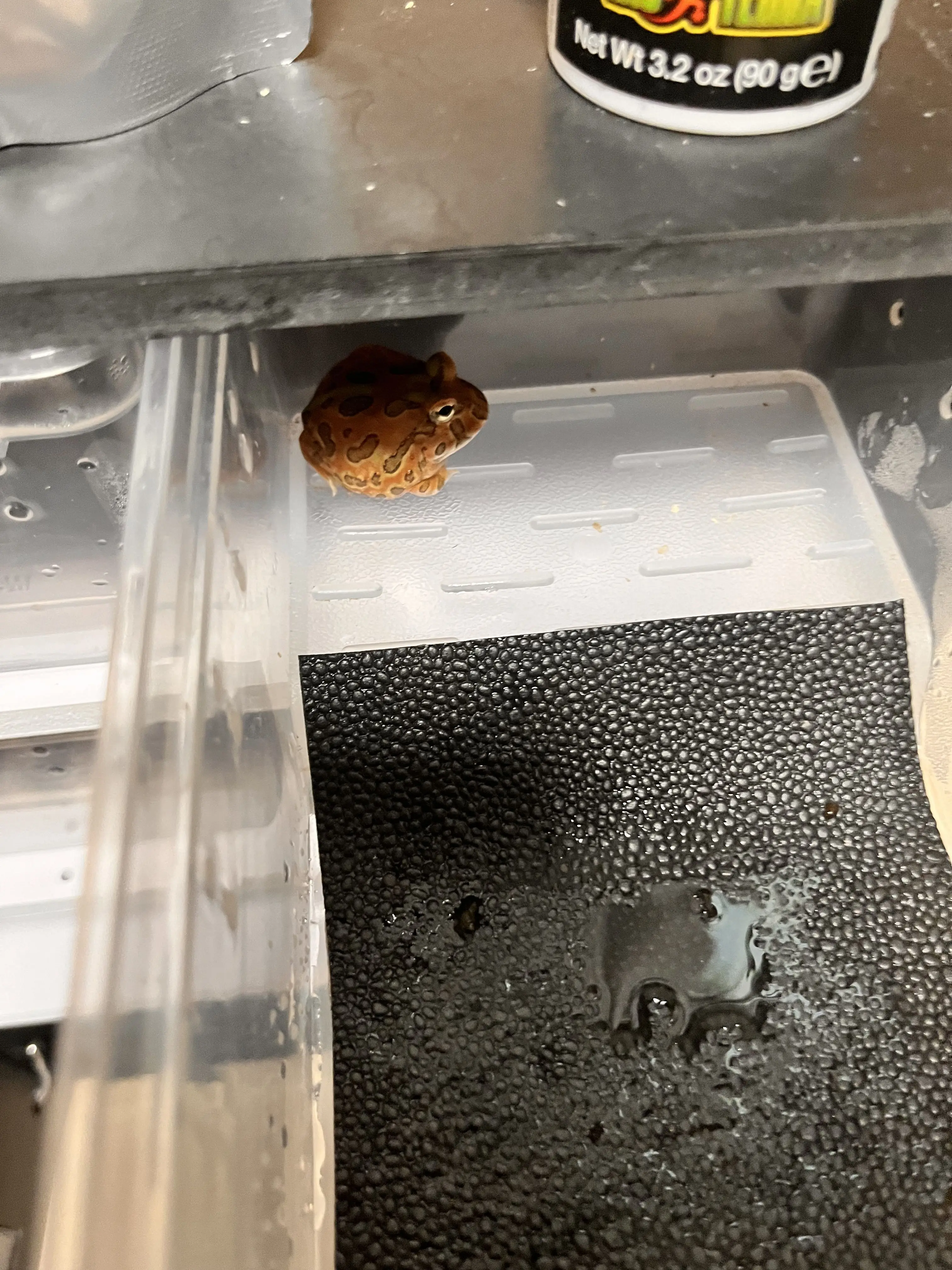 PrettyDress7463의 해피데이~