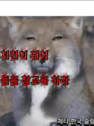 tmffkazjs의 가강전으로 만든영화  피해자