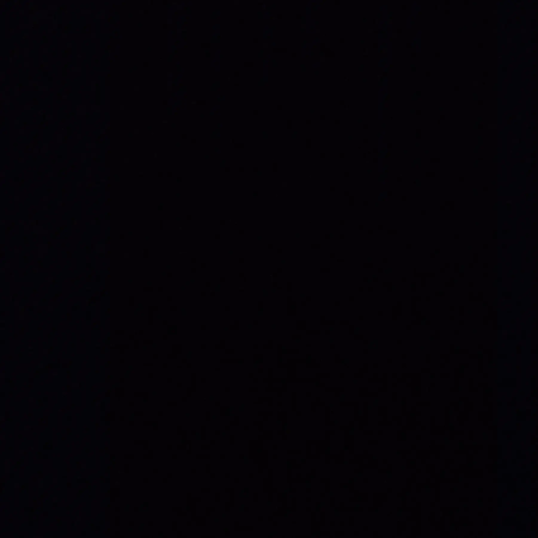 Merrongijirong의 다이어트 워리어