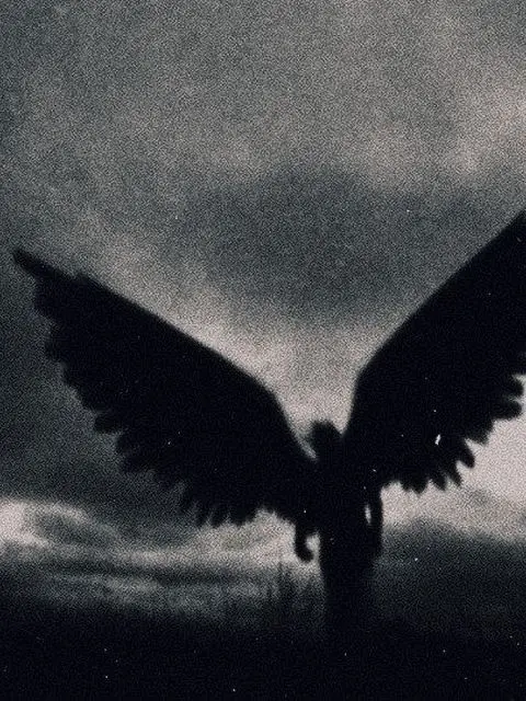 Untidyy의 𝖆𝖓𝖌𝖊𝖑