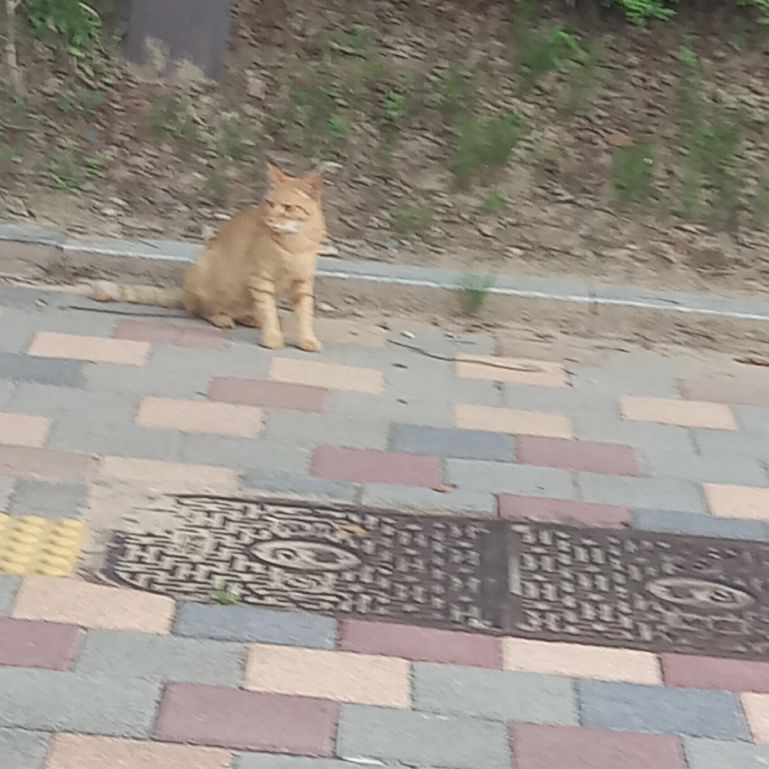 차운빈