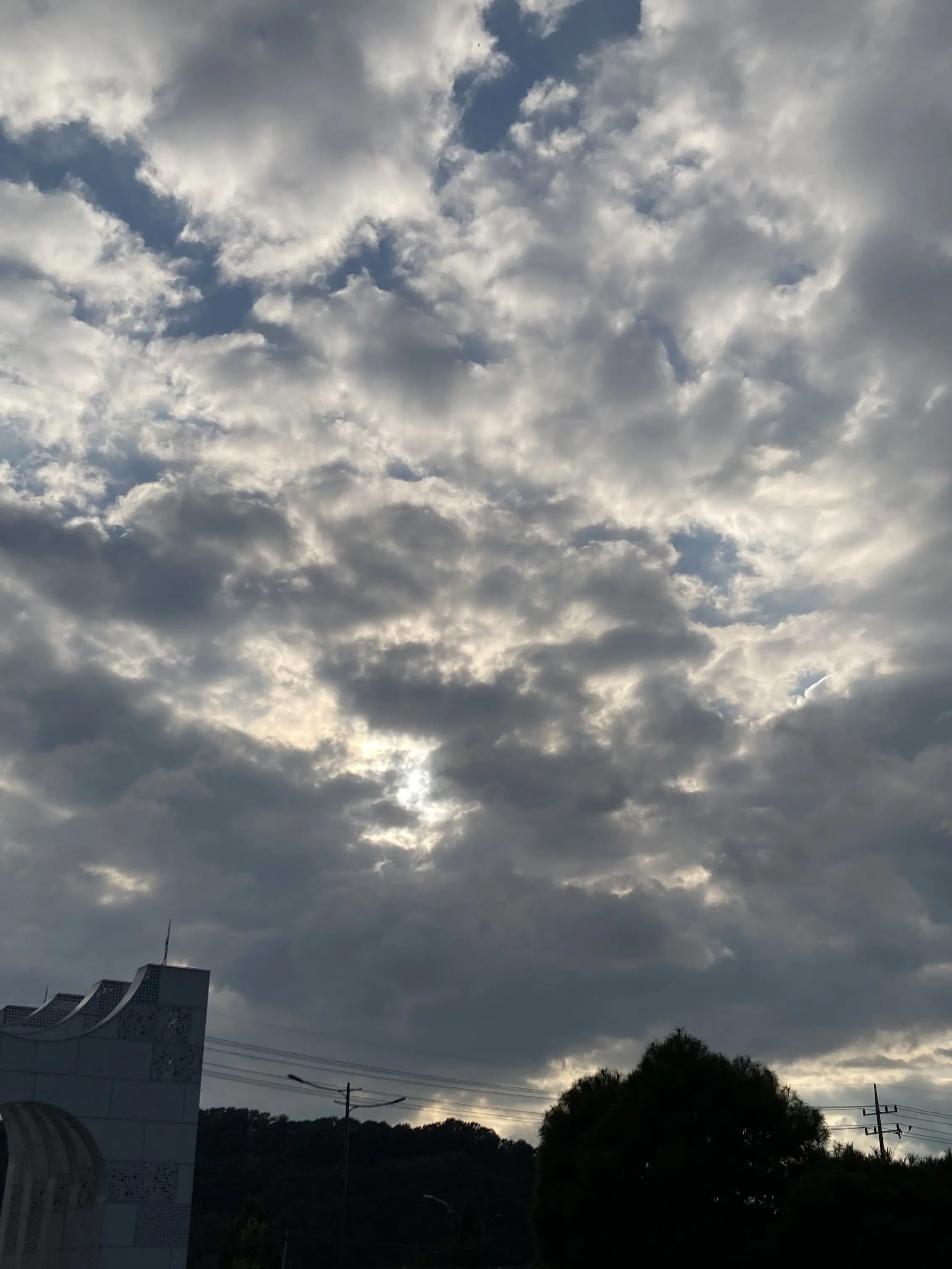 MilkyWayCookieVeryCute의 비스트/에이션트 술먹이기