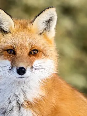 Rian00531의 제가 하려고만듬