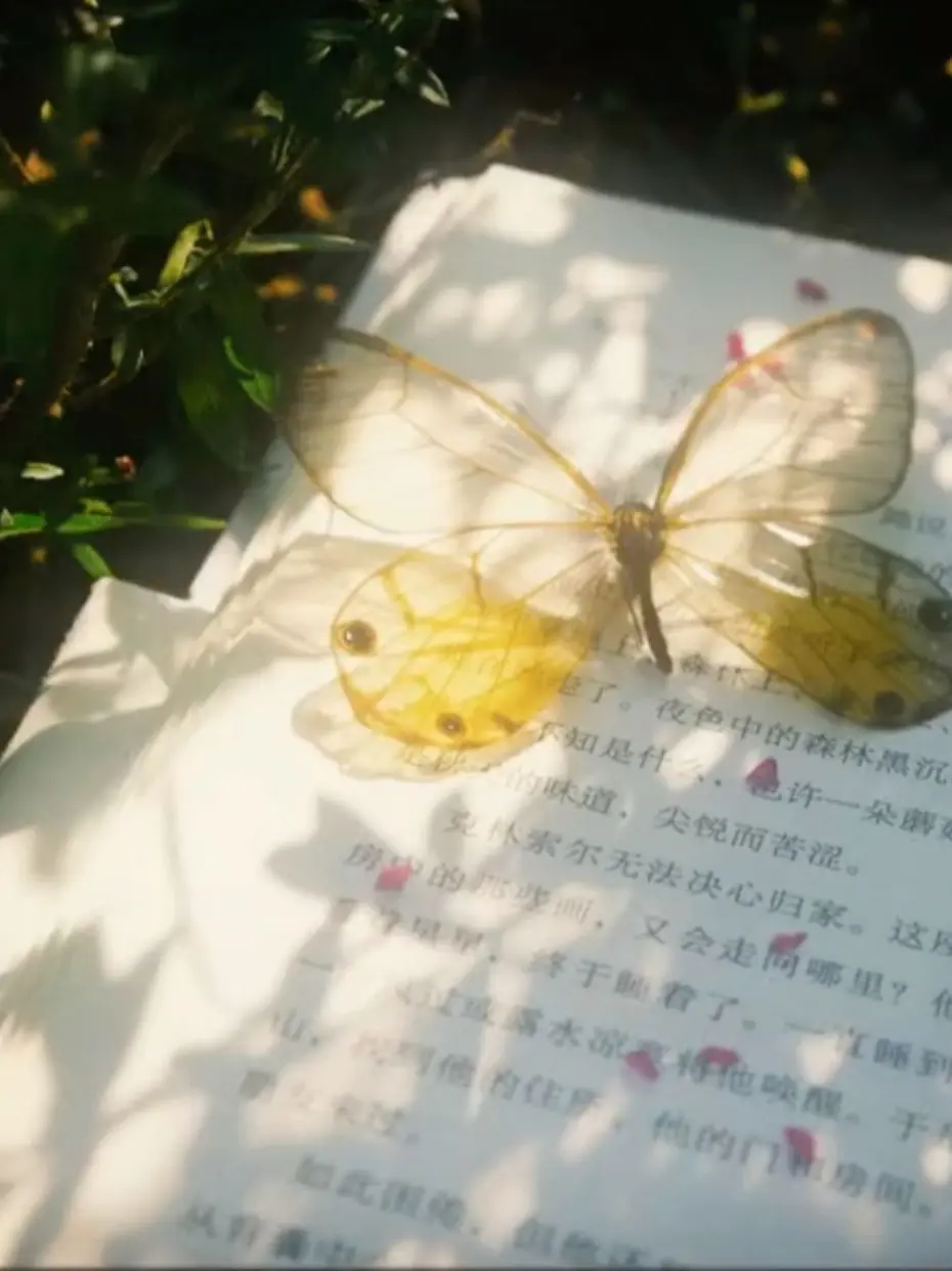 O.zm1의 남녀무리