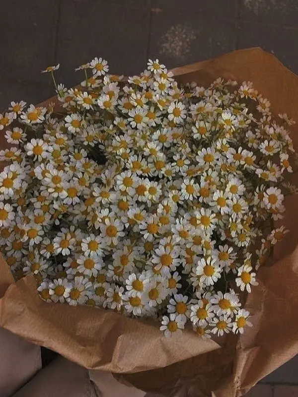 Nice_me의 하, 참 뻔뻔하시네요?