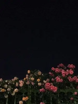 I_love_Johan_Sung의 천태진