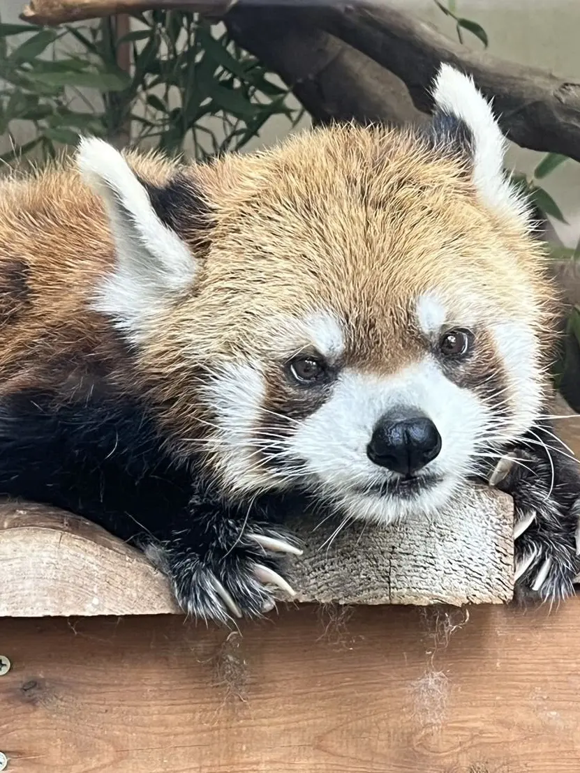 kaeki0502의 じっこまん