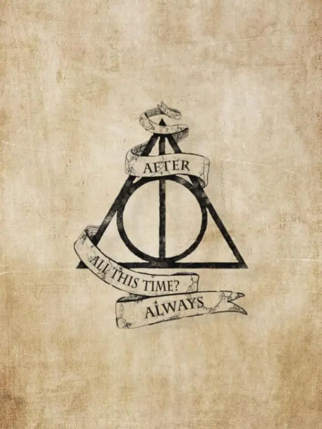 LovelyDiary3804의 The Other Potter