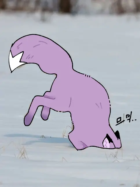 yuopr의 '새끼를 밴 어미 여우를 데려왔다.'