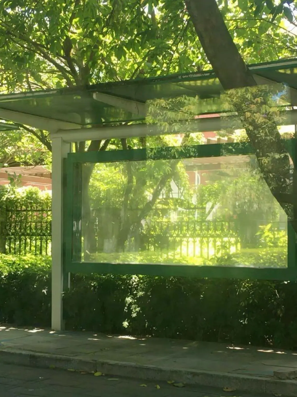 Rhinitis의 戀夏 (연하)