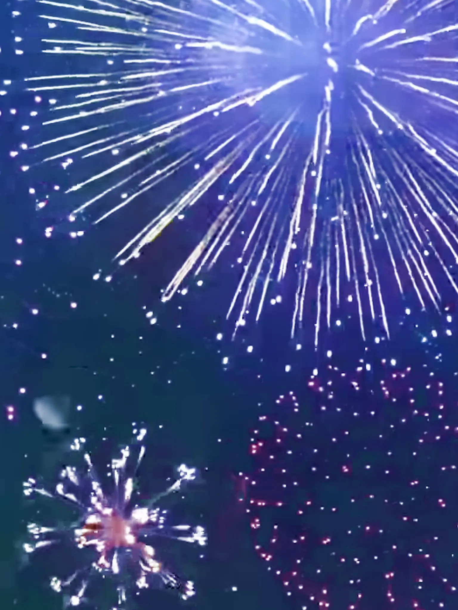 Sakuneko_Moti의 夏祭り