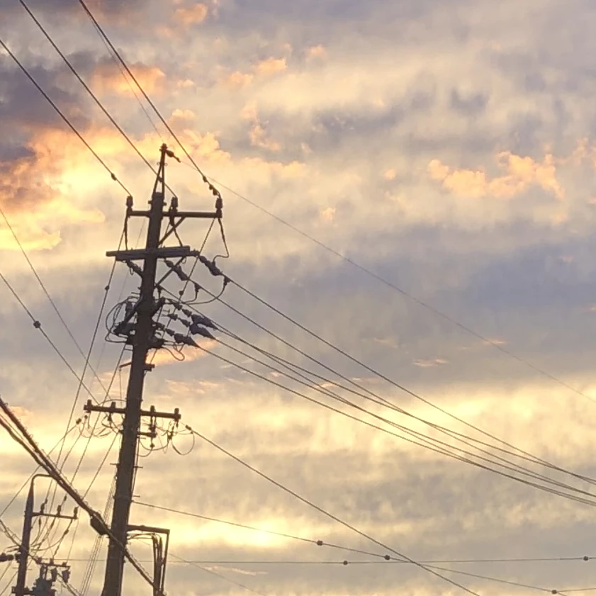 クズが僕だけに溺愛してくる。