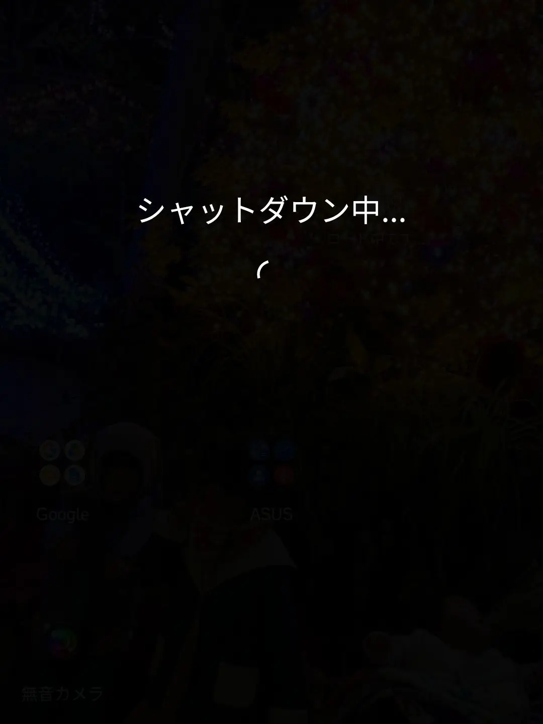 FestalTick9888의 オリキャラが幻想入り