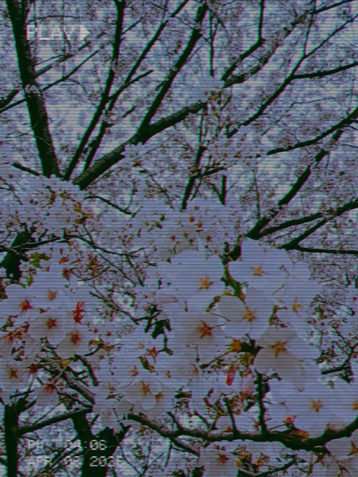 suuuuuidayo의 私だけを忘れた君と、もう一度恋をする