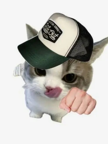 Lovek의 배찬승 이호성