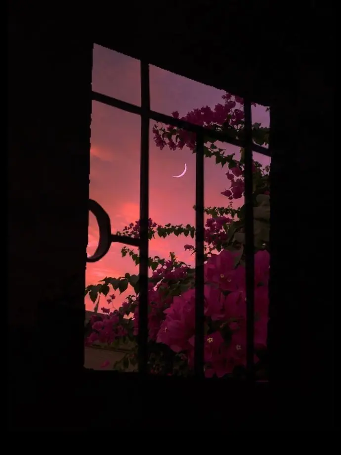 Silent_moonlight의 [ 스타 조직 ]