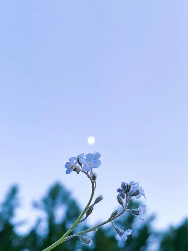 Shty_ll의 여름아 끝나지마 -