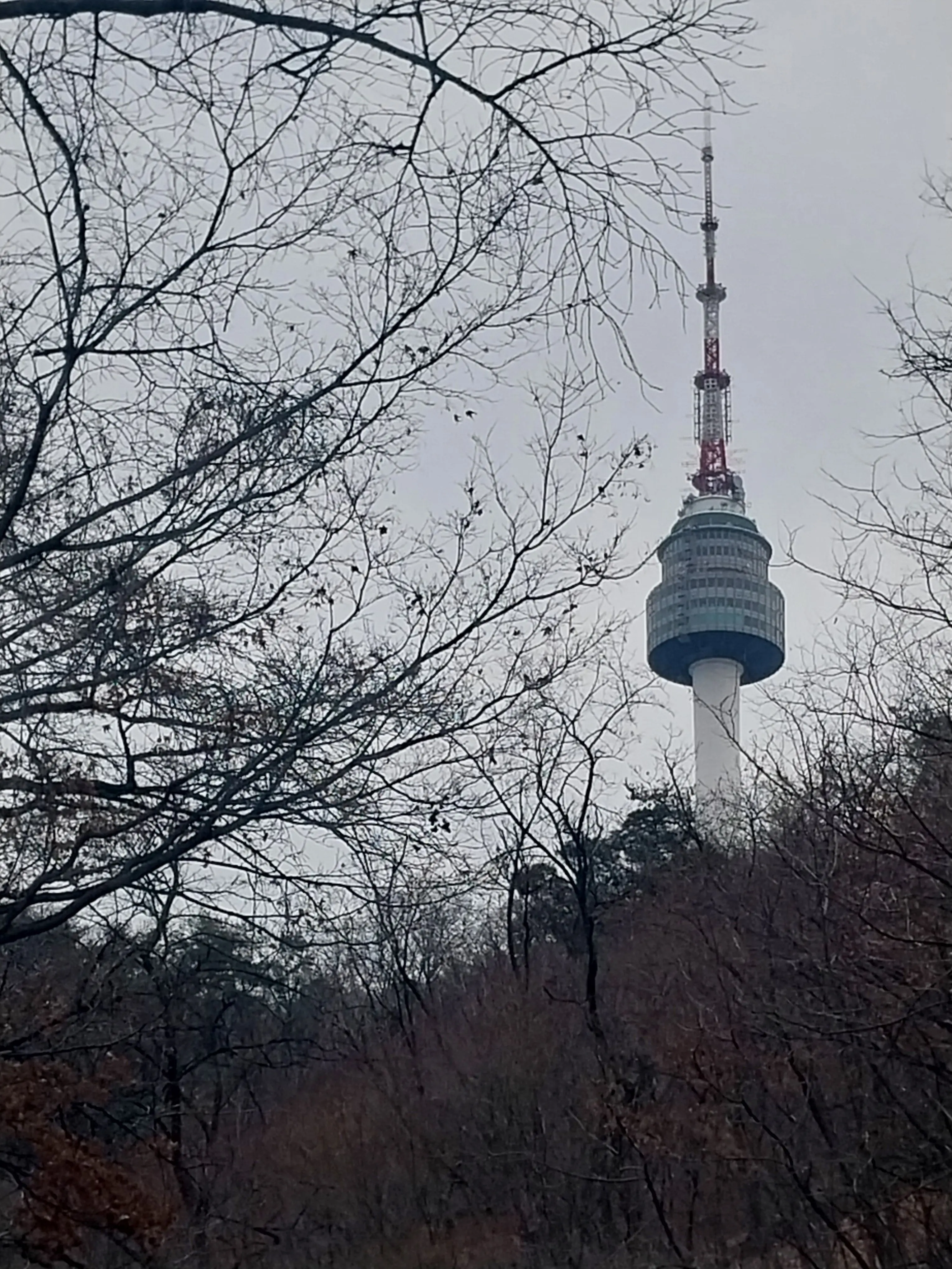 King_beeIII의 차원을 넘어 이세계아이돌