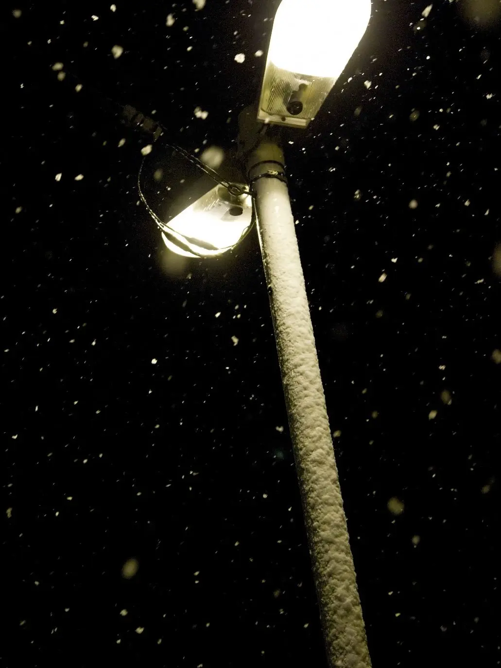 IronicFlake6158의 あの時、私は……