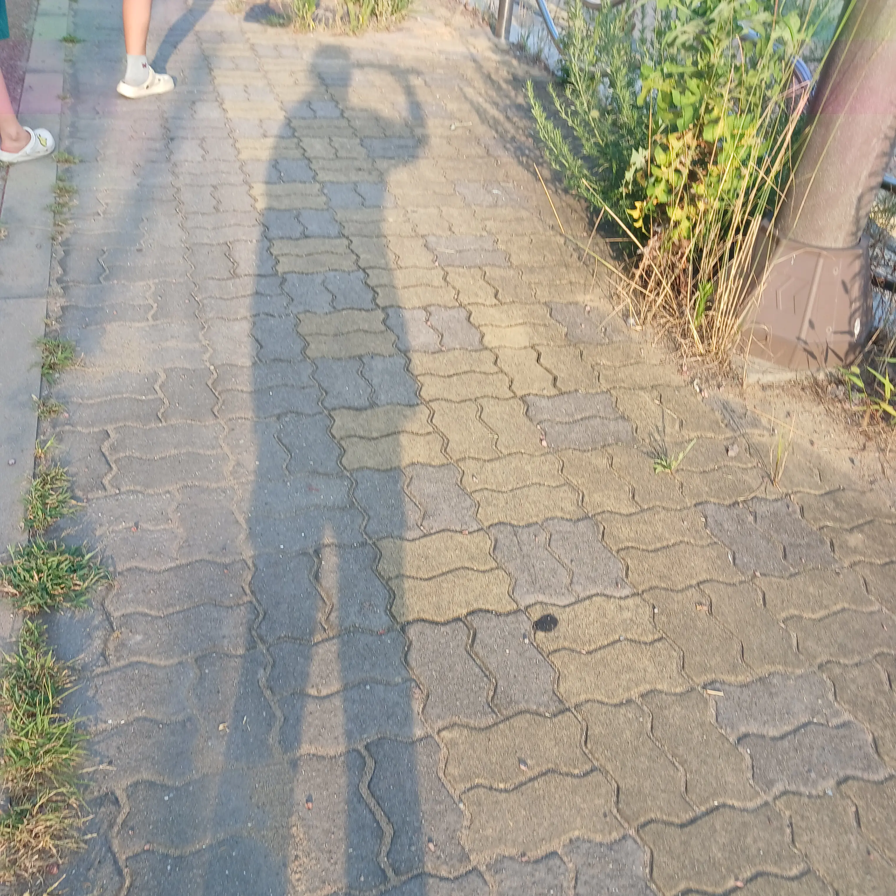SappyCat9001의 픽셀학교